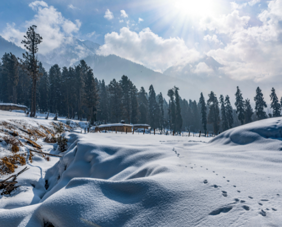 Ahsaan Tour and Travels